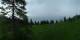 Luchsingen 14.06.2025 17:31