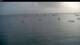 Les Anses-d'Arlet 05.07.2025 17:37