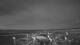Punta Arenas 11.06.2025 17:32