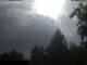 Miehlen 14.06.2025 17:32