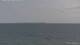 Knebel 09.06.2025 17:33