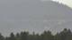 Dobel 08.06.2025 17:33