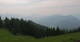 Winkl 08.06.2025 17:33