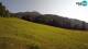 Kranjska Gora 08.06.2025 17:33