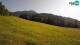 Kranjska Gora 14.06.2025 17:33