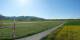 Belp 30.04.2025 17:35