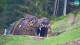 Kranjska Gora 08.05.2025 17:34