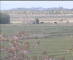 Wyk auf Föhr 08.05.2025 17:49