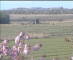Wyk auf Föhr 29.04.2025 17:49