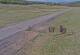 Creede, Colorado 08.06.2025 17:36