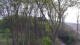 Markgrafenheide 29.04.2025 17:35