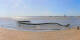 Saint-Brevin-les-Pins 29.04.2025 17:16