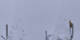 Crans-Montana 05.05.2025 17:34