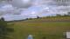 Daun 08.06.2025 17:49