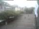 Radolfzell am Bodensee 11.07.2025 17:49