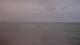 Vorupør 05.07.2025 17:56