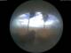 Alba Adriatica 29.04.2025 17:50