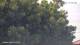Nigran 08.06.2025 17:50
