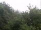 Herdecke 06.07.2025 17:50