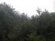 Herdecke 14.06.2025 17:50