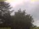 Nettetal 11.07.2025 17:50
