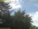 Nettetal 12.07.2025 17:53