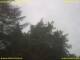 Nettetal 06.07.2025 17:50