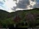 Diedenshausen (Bad Berleburg) 29.04.2025 17:51