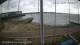 Brightlingsea 05.07.2025 17:51