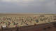 Borkum 14.06.2025 17:45