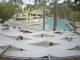 Punta Cana 11.07.2025 17:51