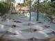Punta Cana 16.05.2025 17:51