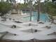 Punta Cana 08.06.2025 17:51