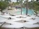 Punta Cana 08.06.2025 17:51