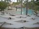 Punta Cana 21.06.2025 17:51