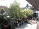 Rimbach 08.06.2025 17:45