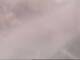 Fort Lauderdale, Florida 02.07.2025 17:49