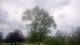 Harriman, New York 01.07.2025 17:51