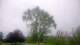 Harriman, New York 08.06.2025 17:51