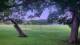 Camp Verde, Texas 14.06.2025 17:54