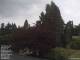 Son en Breugel 14.06.2025 18:46