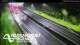Greenhithe 09.06.2025 18:52