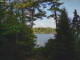 Hoel Pond, New York 13.07.2025 18:58