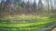 Tustin, Michigan 10.05.2025 18:54