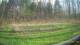 Tustin, Michigan 29.04.2025 18:54