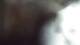 Buchanan, Virginia 30.04.2025 18:58