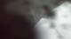 Buchanan, Virginia 29.06.2025 18:58