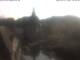 Bad Kreuznach 14.06.2025 18:46
