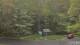 Bethlehem, Connecticut 04.05.2025 18:02