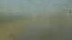 Monroe, Michigan 14.07.2025 18:06